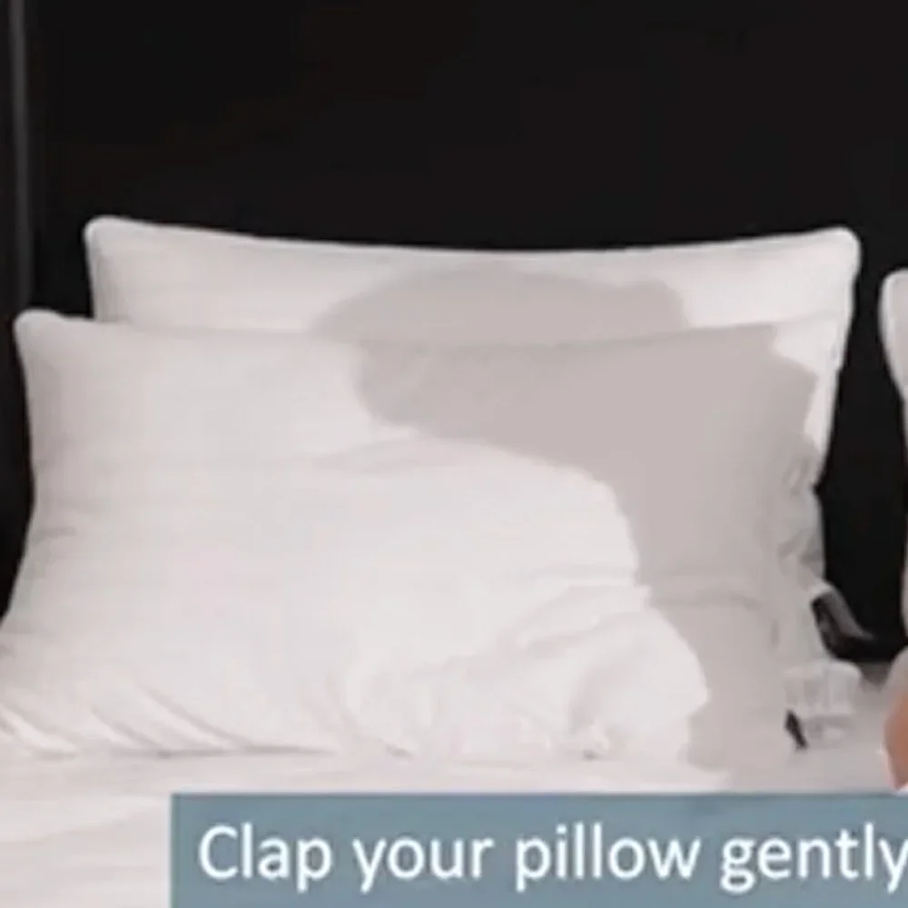 Downluxe Goose Feather Down Pillow 20
